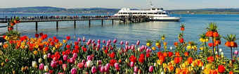 Inselmainau